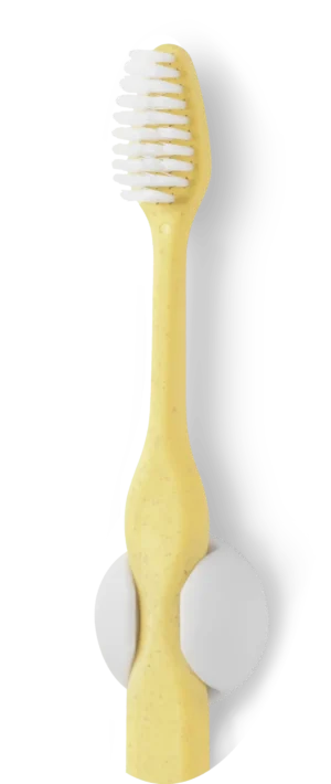 Gul